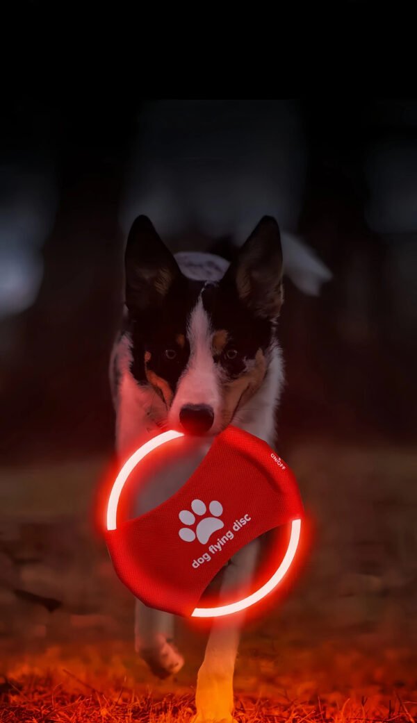 Dog LED Flying Disc Toy
