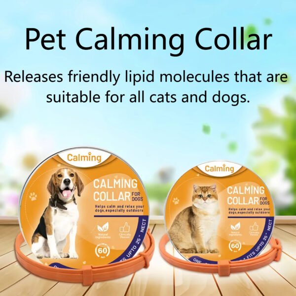 Pet Calming Collars Relieve Pet Anxiety