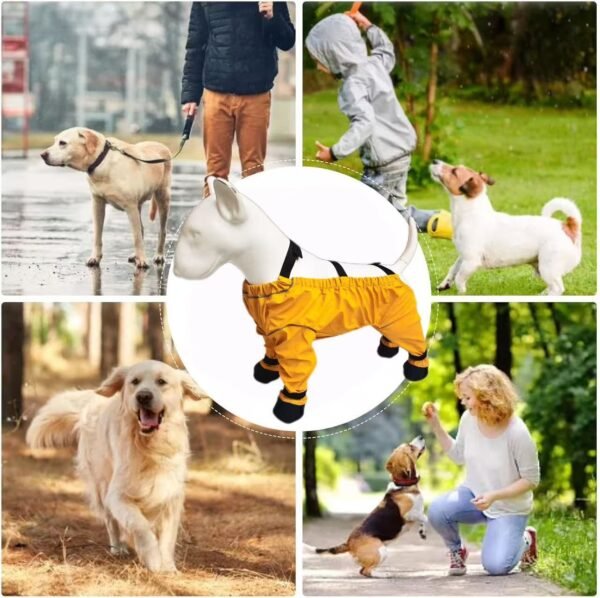 Adjustable Dog Harness Waterproof Suit
