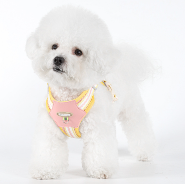 Dopamine Small and Medium Pet Harness