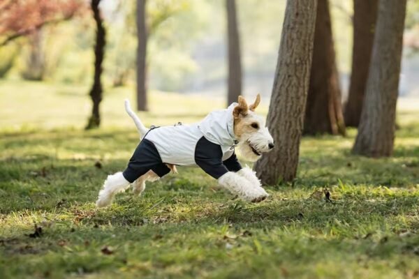Dog Clothes Raincoat Waterproof Jacket