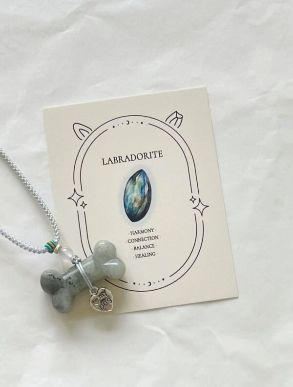Labradorite Natural Crystal Bone Necklace