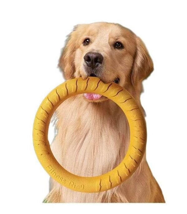 Pull Ring Teeth Cleaning Dog Tug Toy